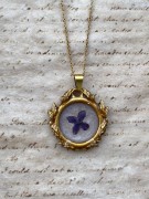 folio-lilac-a.jpg
